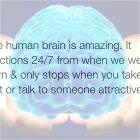 The Human Brain
