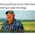 The Ice Cube