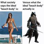 The Ideal Beach Body