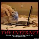 The Internet