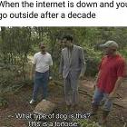 The Internet Is Down For 2 Minutes