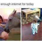 The Internet Is Magical