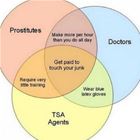 The Jobs You Love