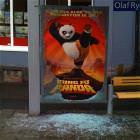 The Kung Fu Panda