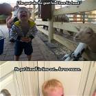 The Many Sane Reasons Kids Cry