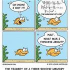 The Meaning Of Life