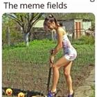 The Memefield