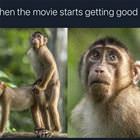 The Movie Starts Getting Good