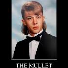 The Mullet