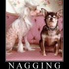 The Nagging