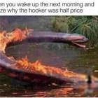 The Next Morning