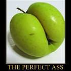 The Perfect Ass