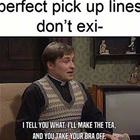 The Perfect Pickup Line