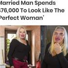 The Perfect Woman