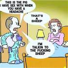 The Pig