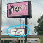 The Pony