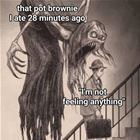 The Pot Brownie