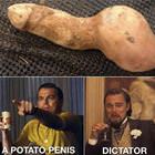 The Potato