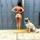 The Pug Life