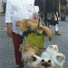 The Pussy Magnet