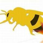 The Queen Bee