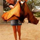 The Real Batman