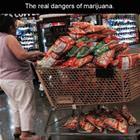 The Real Danger