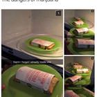 The Real Dangers