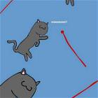 The Red Dot