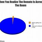 The Remote