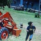 The Rooster Was After Her