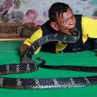 The Snake Charmer