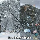 The Snow Is So Pretty