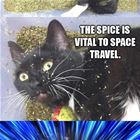The Spice