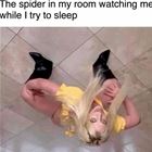 The Spider