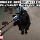 The Spoon Bending Cat