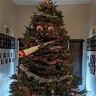 The Tree