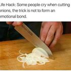 The Trick Is