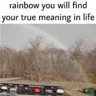 The True Meaning