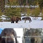 The Voices In My Head