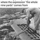 The Whole 9 Yards