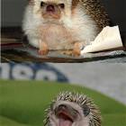 Then I