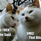 Then She Said