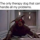 Therapy Dog