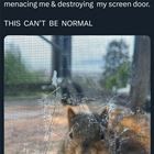 There Is A Lesson Here