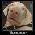 Thermometer Is Stuck