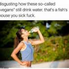 These Sick Vegans