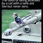 They Are Low