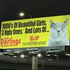They Have It All