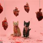 They Likes The Steak